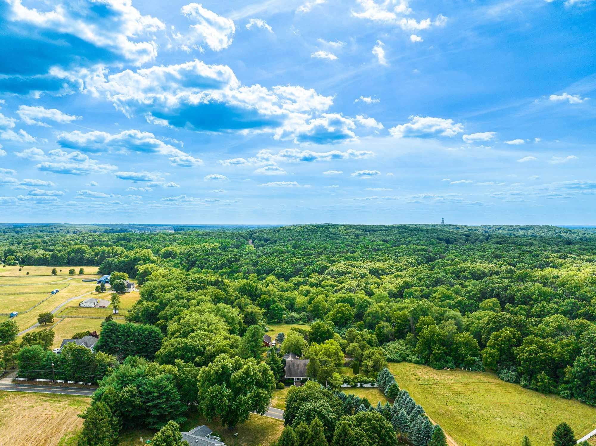 DJI_0504-Edit.jpg