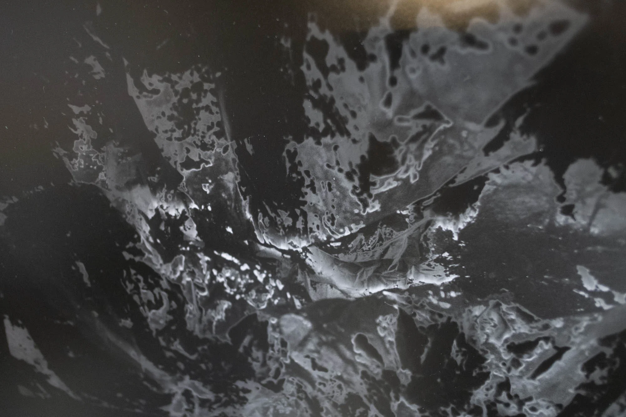 POLAR-5.jpg