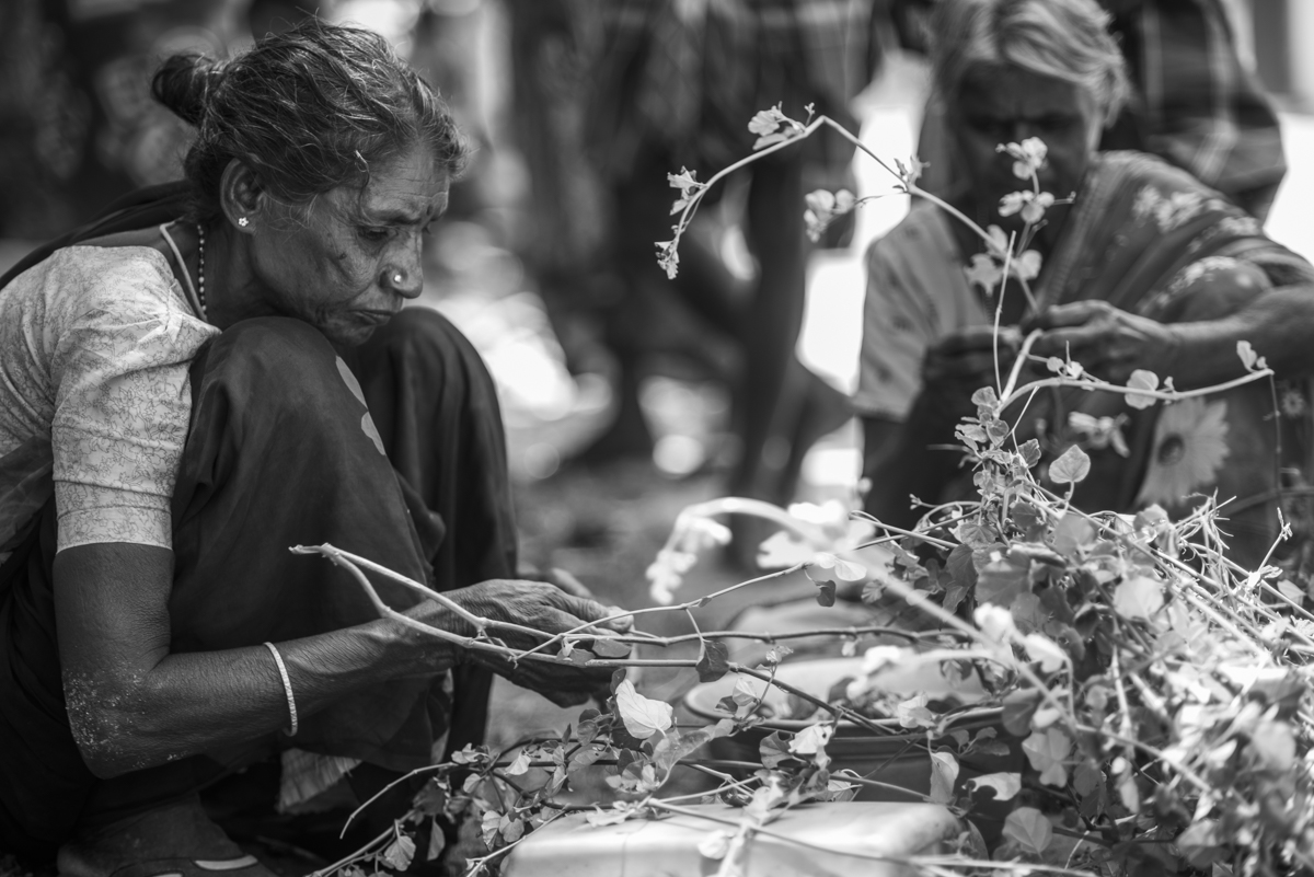Ellamal recollects herbs good for cooking.