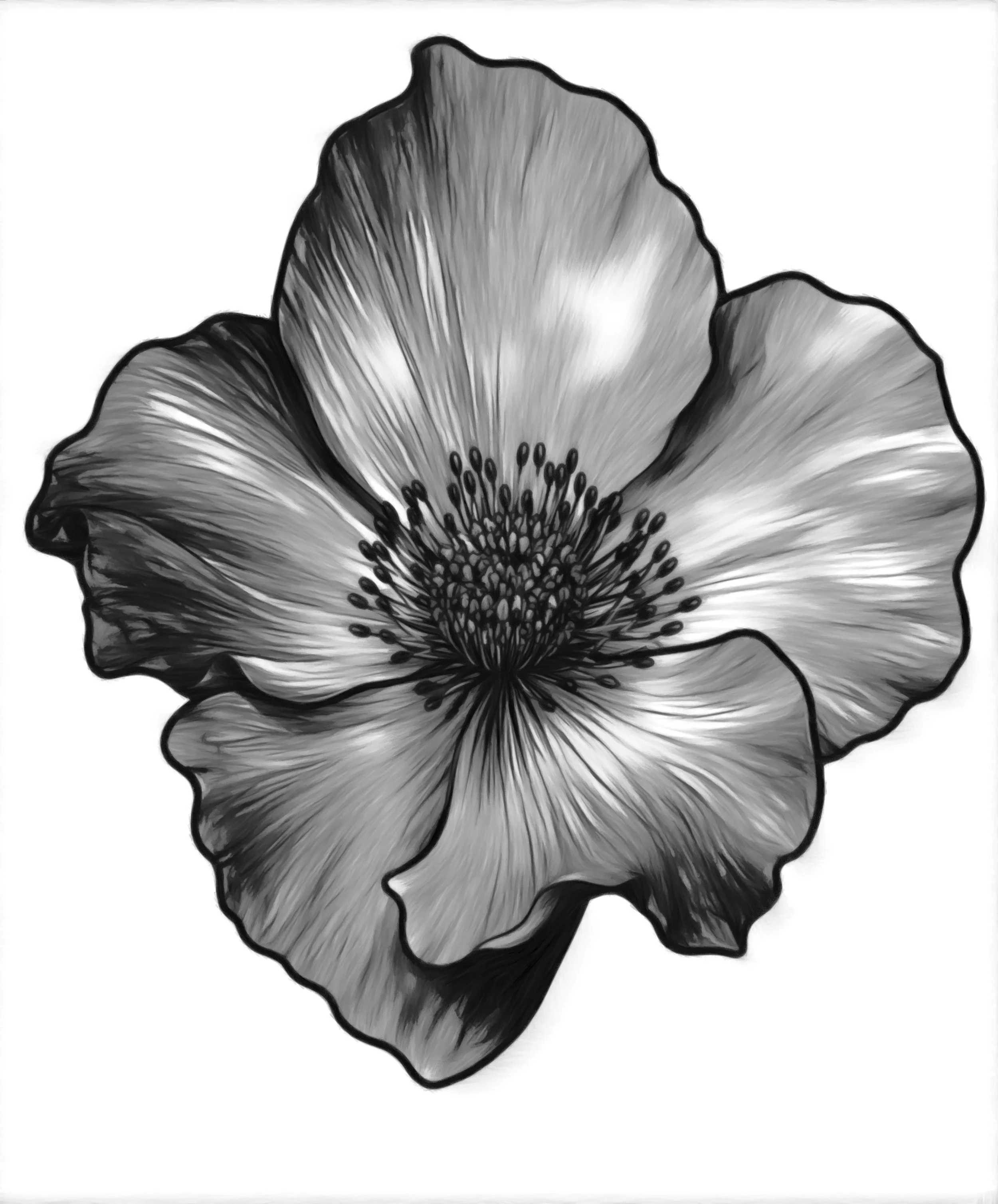 Graphite_2026-06-04_11-08-37.jpeg