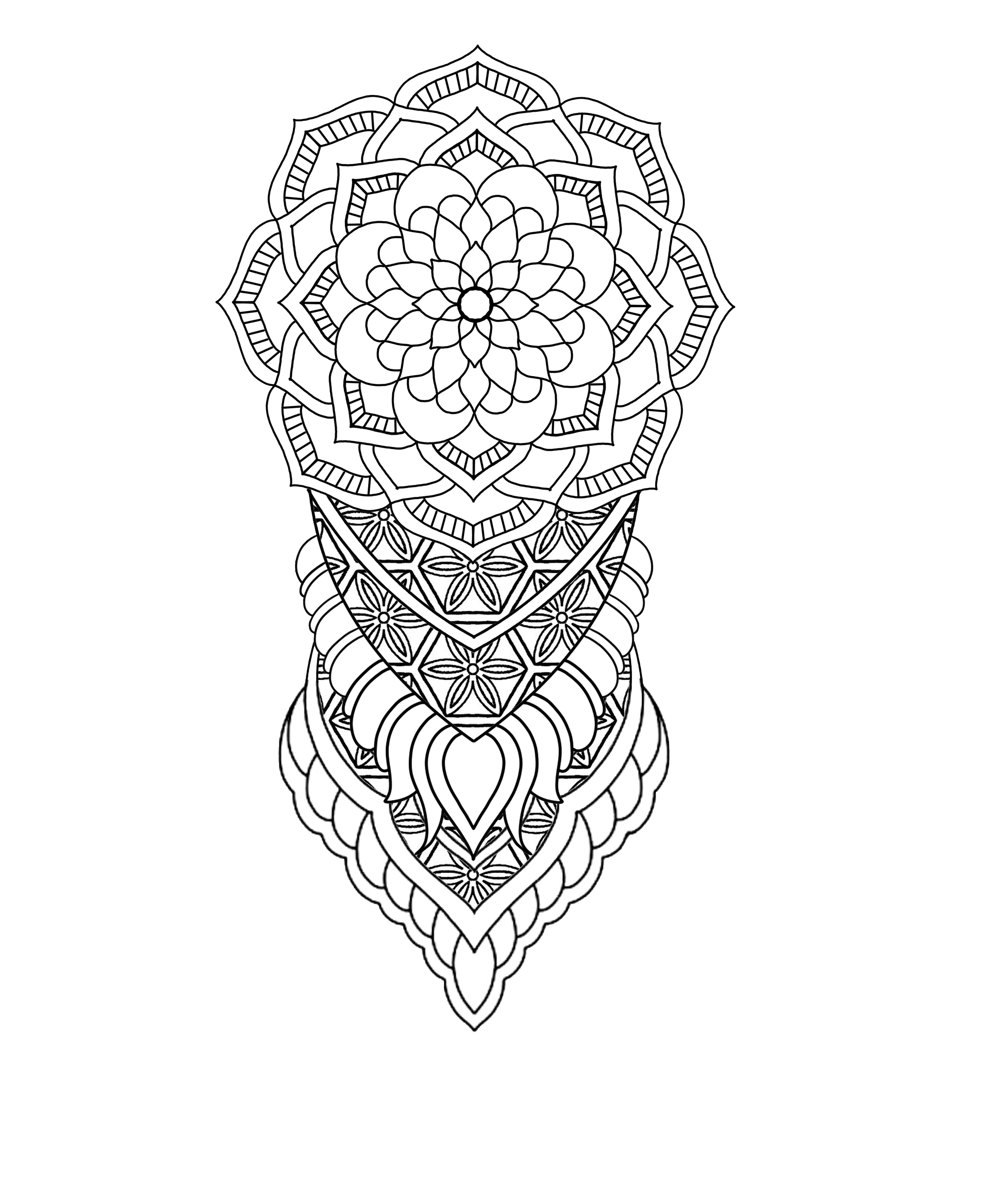 IMG_3165.png