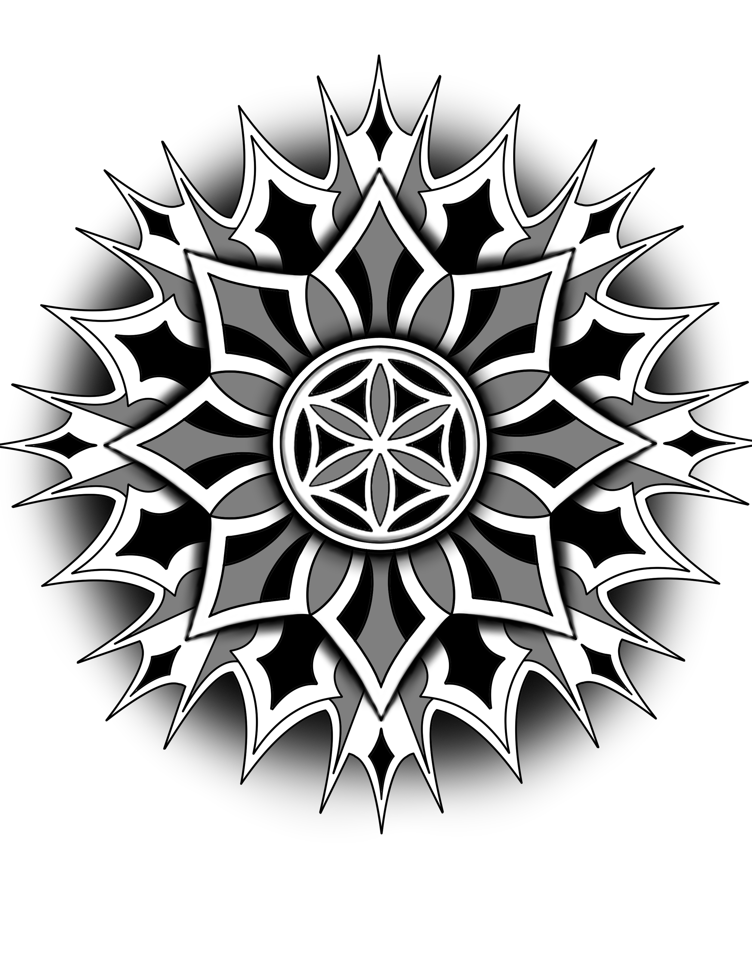 IMG_3624.png