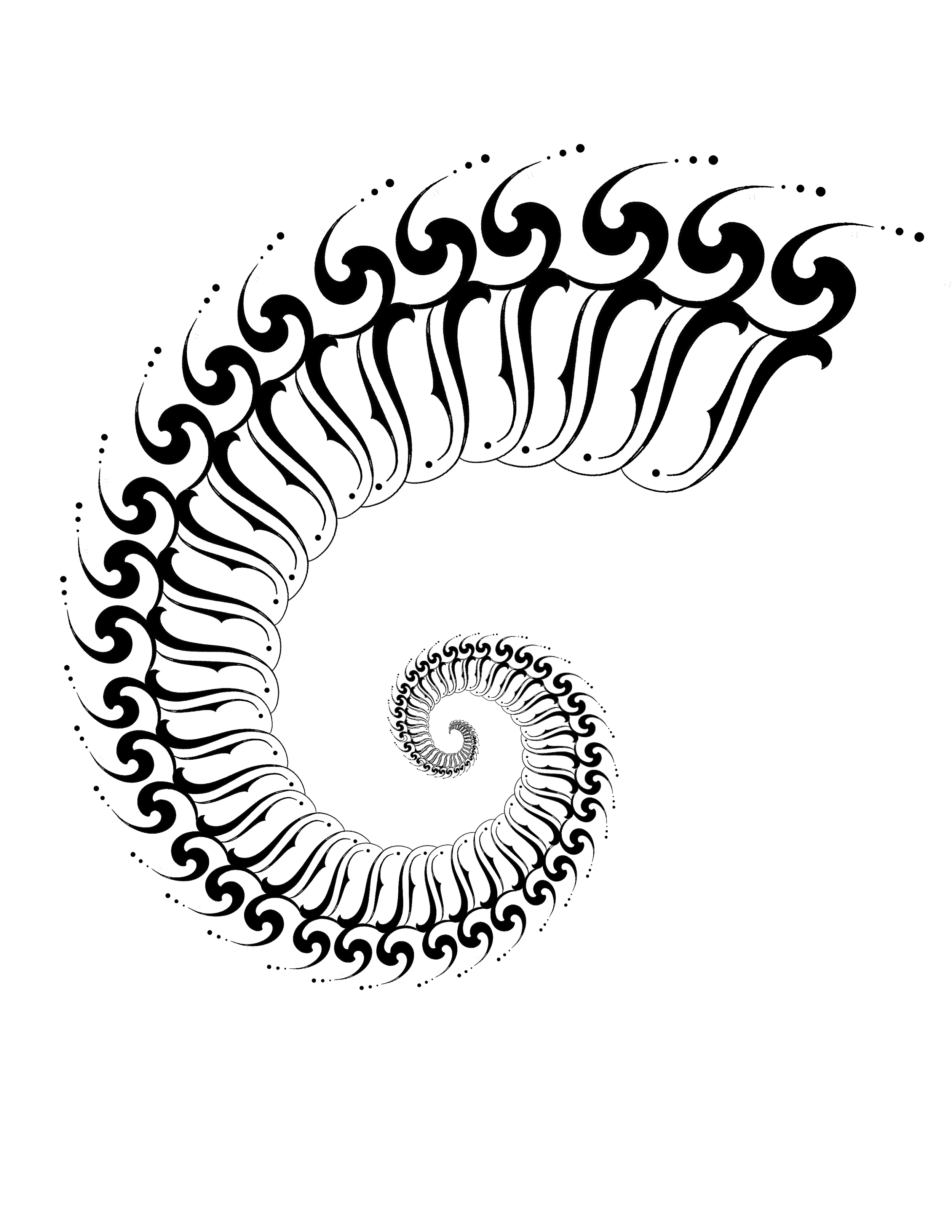 IMG_4302.png