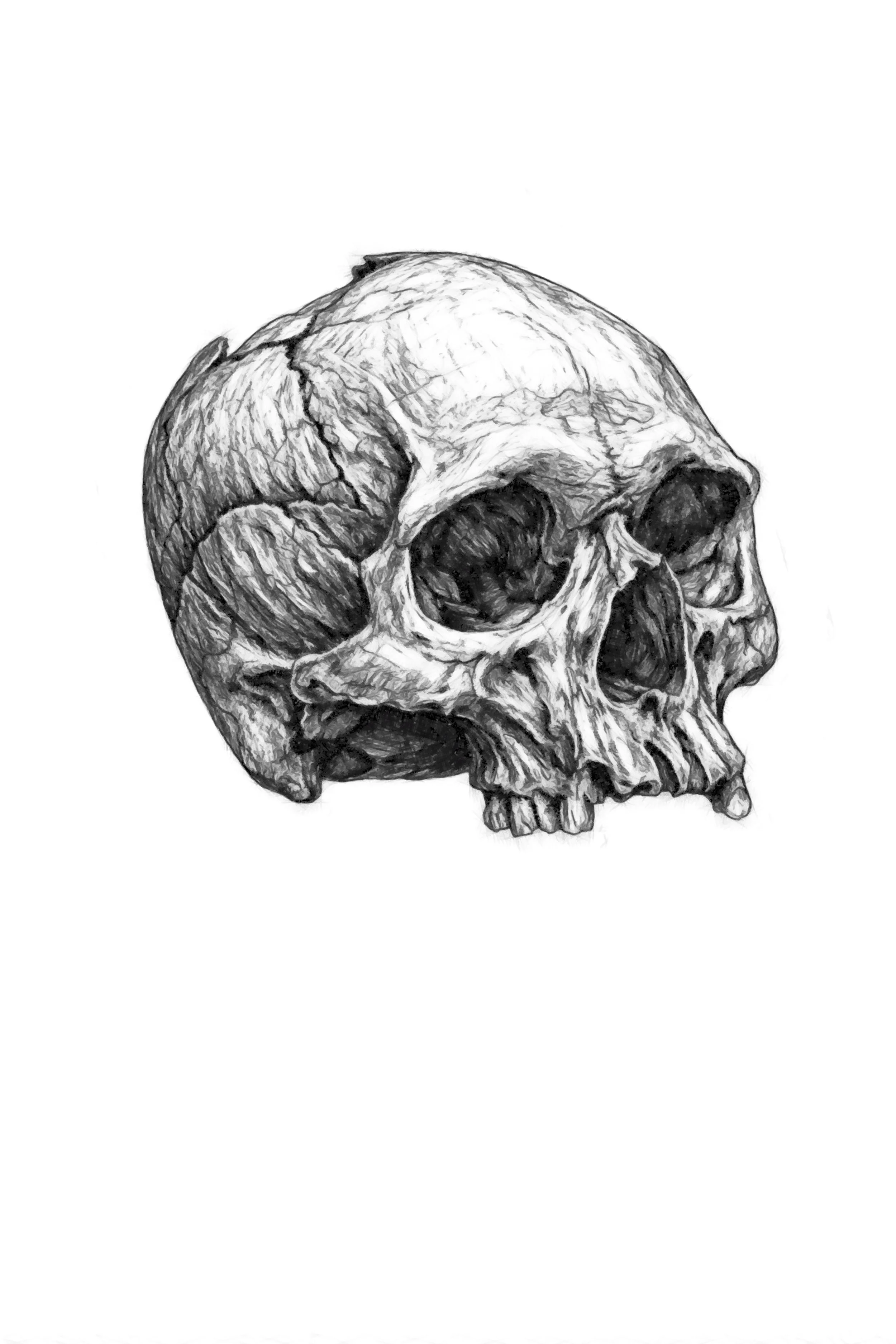 Graphite_2026-06-14_17-16-58.jpeg