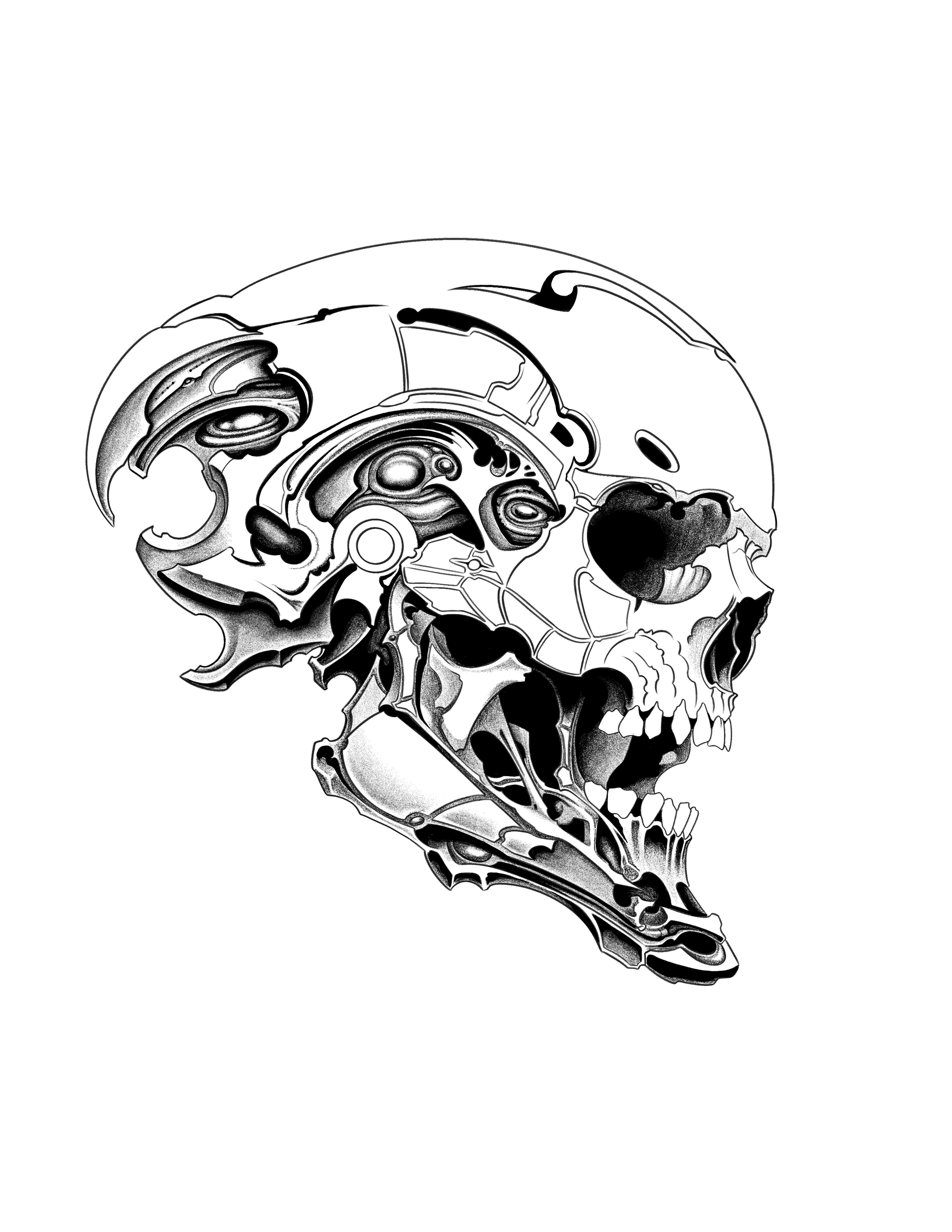 Skull 1 2.png