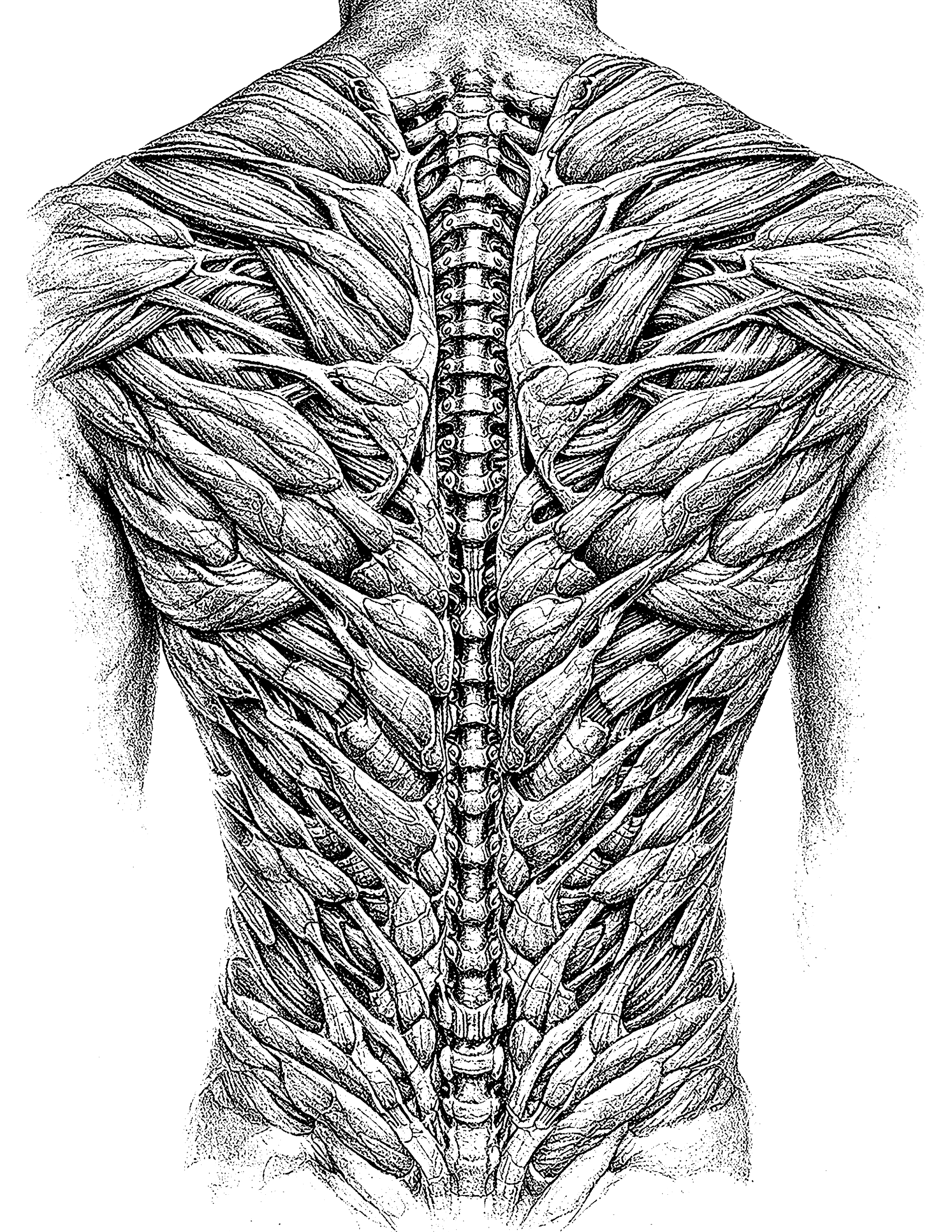 Illustration8.png