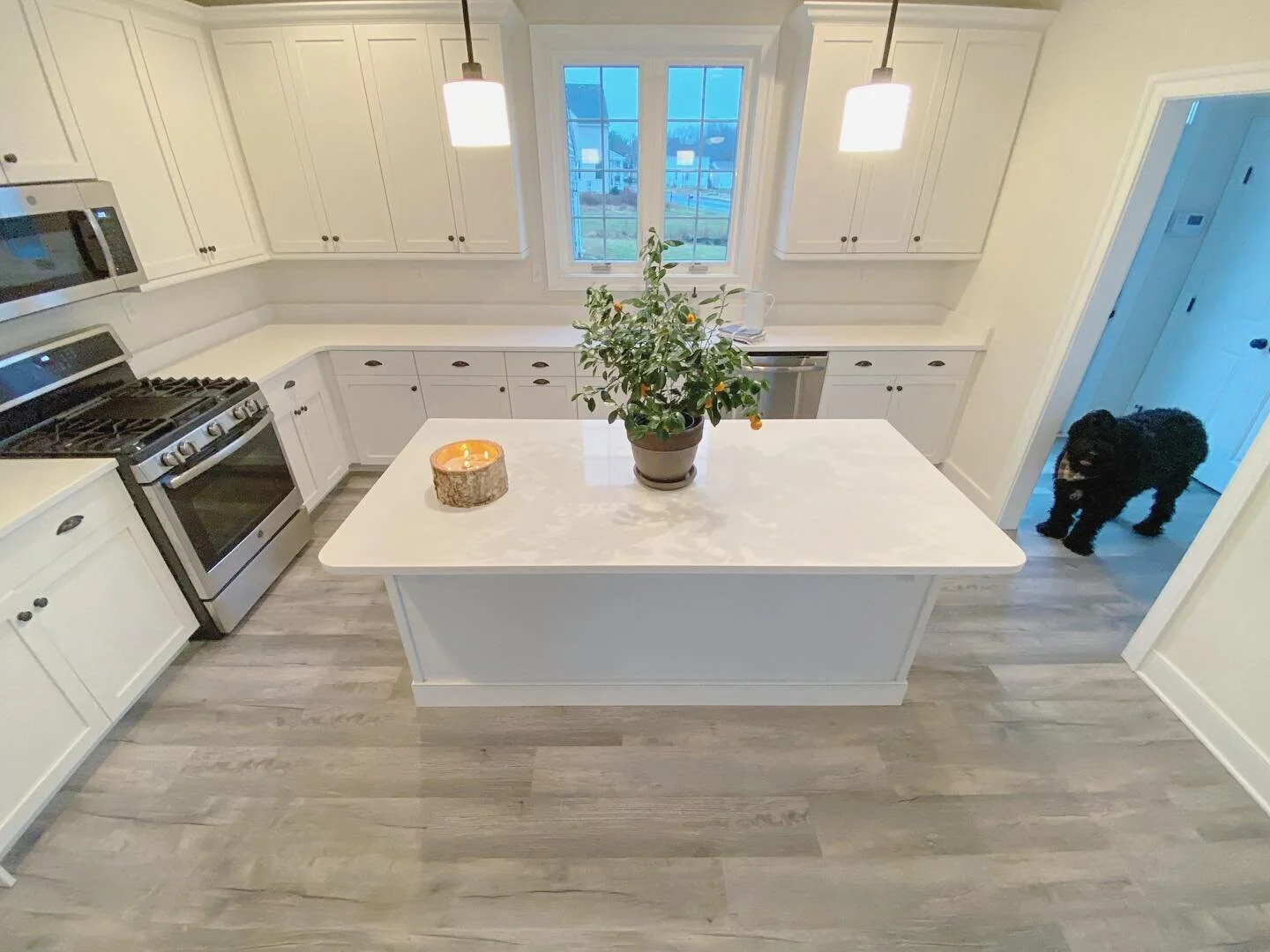 image-asset (2).jpeg