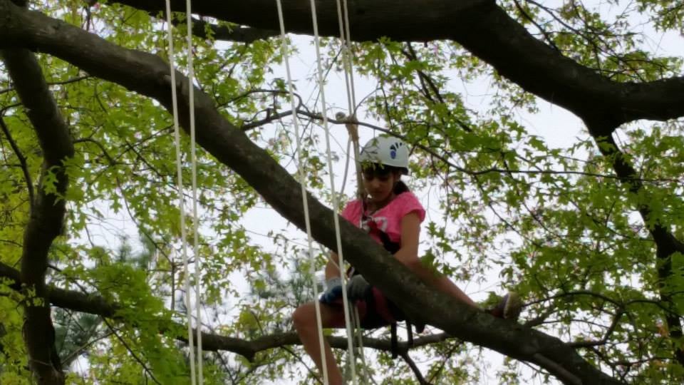 Adventure Tree Climbing — Camp Cherith of Western New York