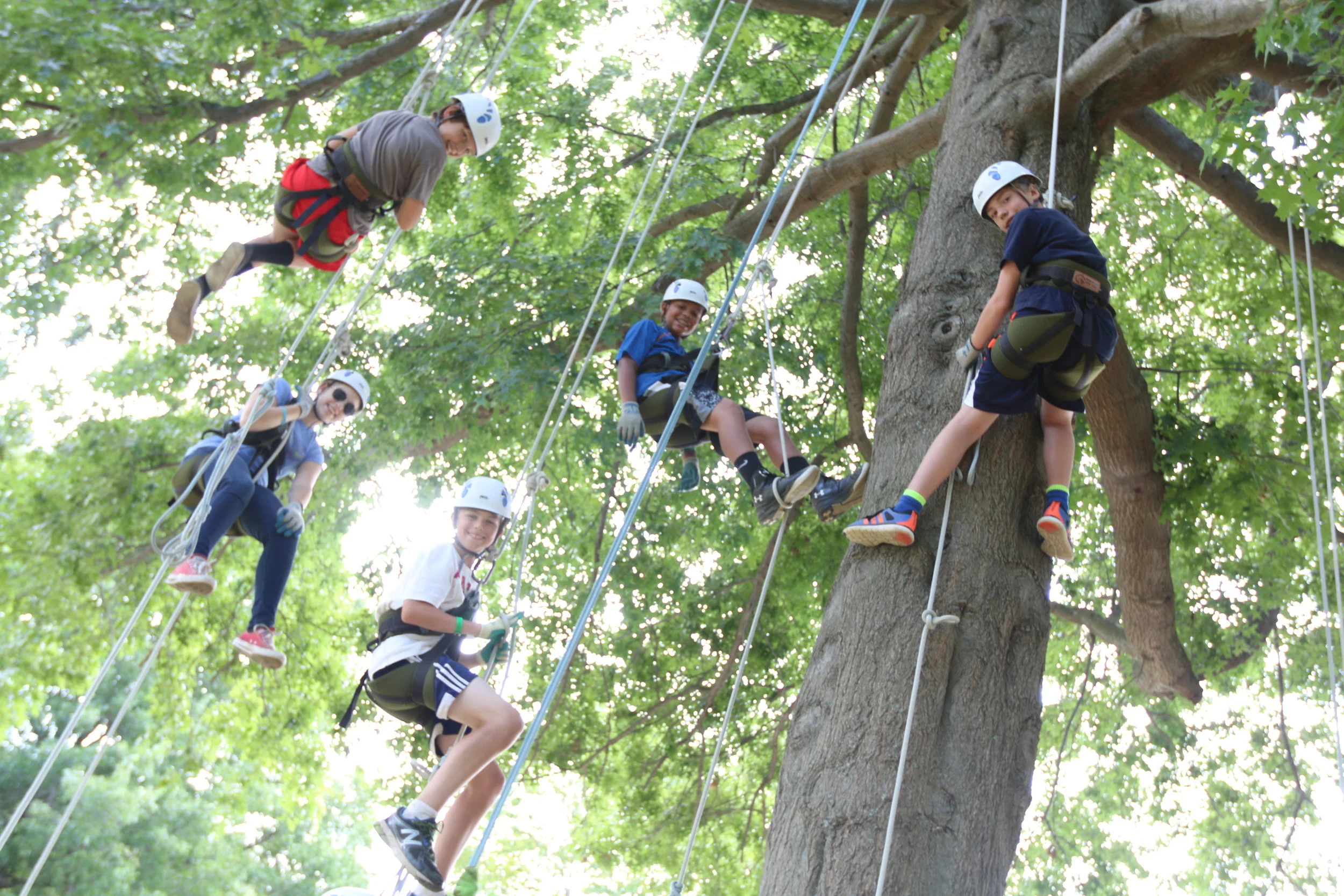 Adventure Tree Climbing in front of the the dining hall