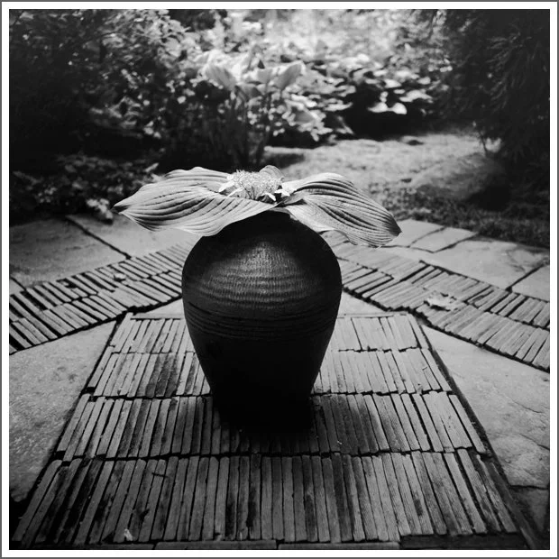 A black and white photo of a ceramic vase with large leaves on top, placed on a brick pathway outside, with plants and trees in the background.