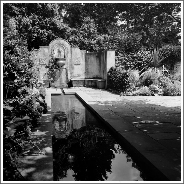 A garden scene with a wall fountain, stone pathway, and reflecting pool surrounded by lush plants and trees.
