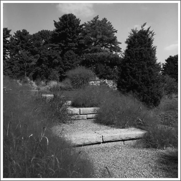 Stone steps leading up a grassy hill surrounded by trees and bushes.