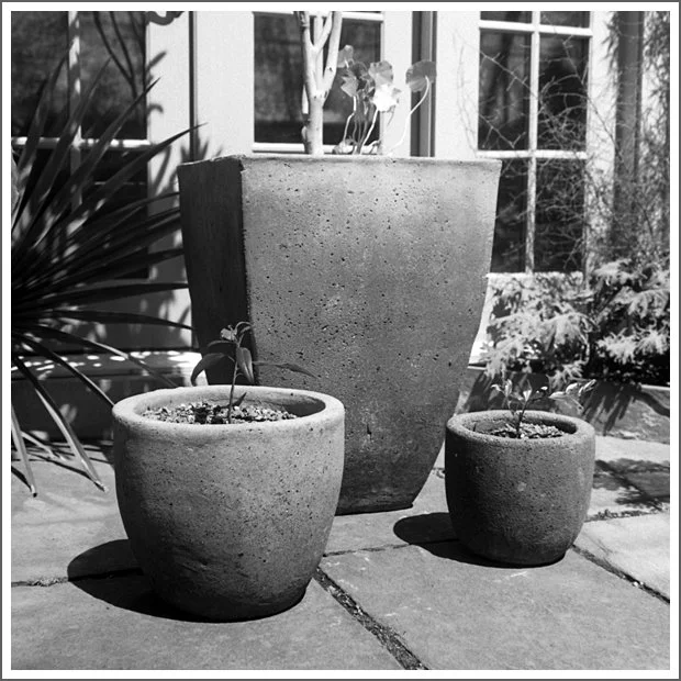 Three flower pots on a patio with plants and a window in the background