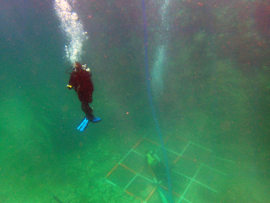  Expand Your Education In   Maritime Archaeology    Let's Dive      Le Casimir, sunk 1829 Monte Cristi, Dominican Republic. 