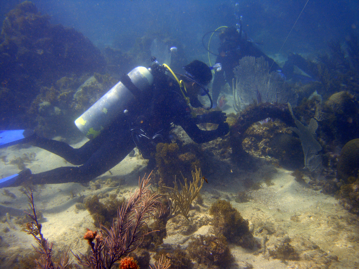 Documenting one of the anchors on the Island Wreck in Monte Cristi Bay