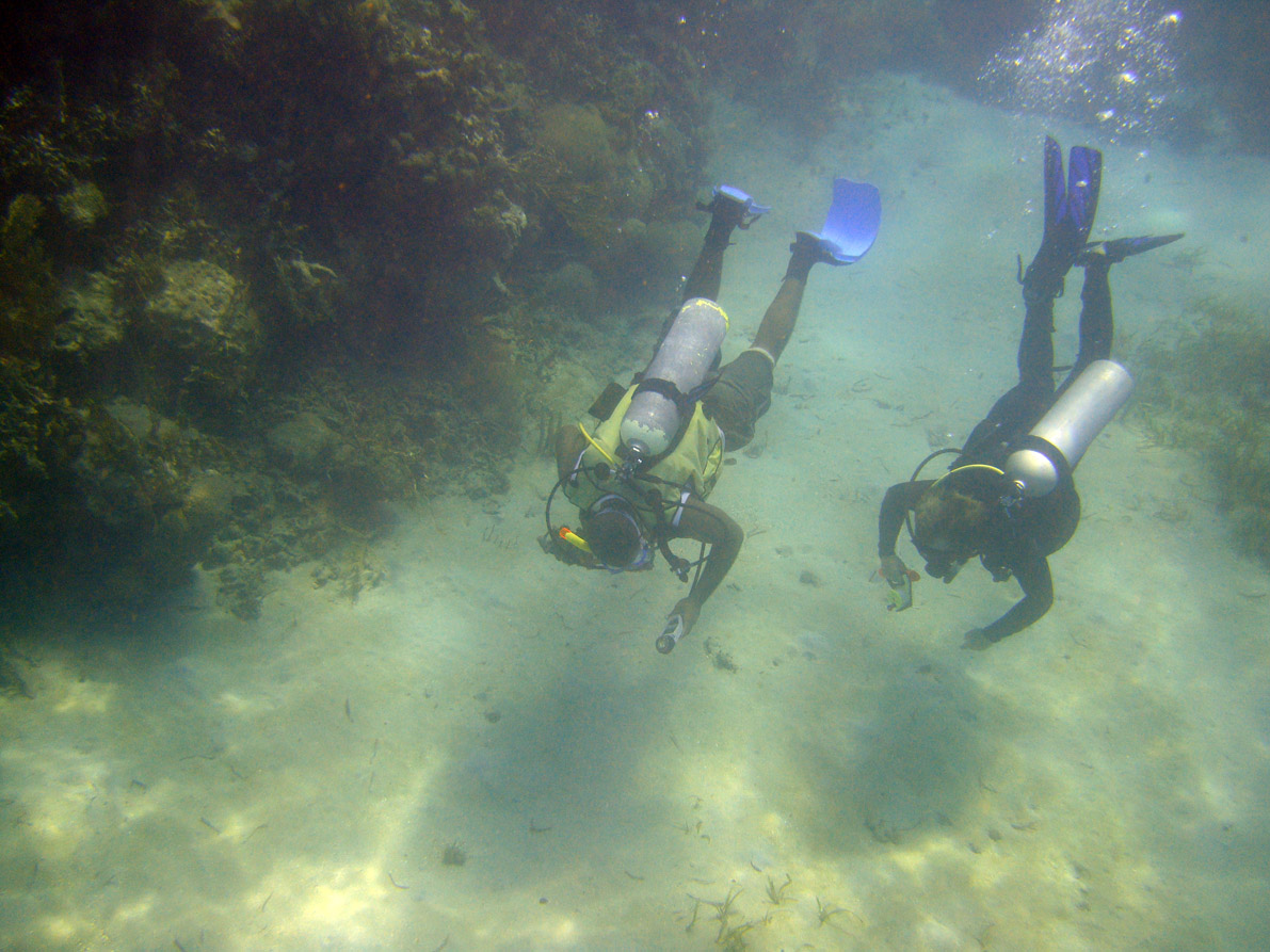 Diving through the cut between the reefs in Monte Cristi Bay