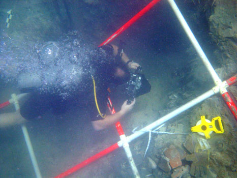  Vice President Jeremy Schomberg photographing the sacrificial planking on The Tile Wreck 