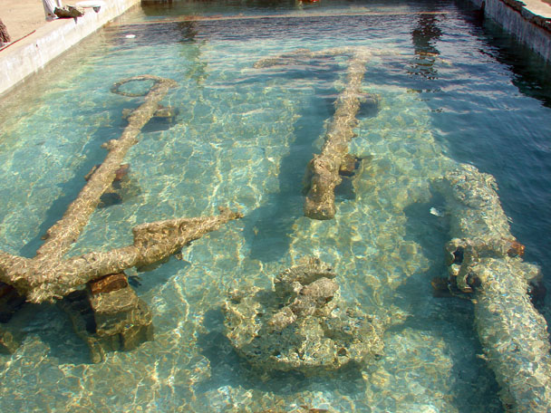  Anchors and cannons from The Tile Wreck in conservation tanks 