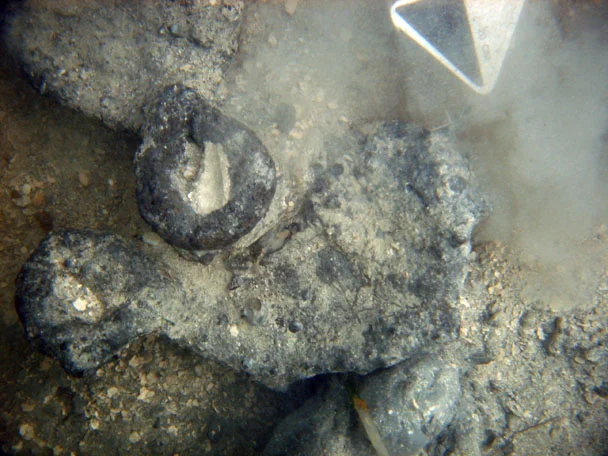 Part of the cargo of Adzes which was located on The Tile Wreck