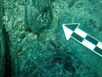 A copper alloy thimble, part of the cargo can be seen at the left end of the middle futtock.