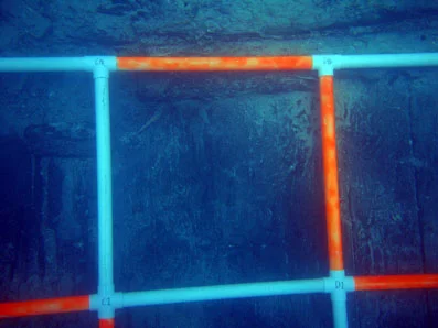 Survey square C0 showing the upper section of the bottom planking.