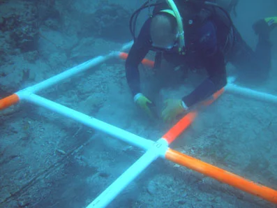 Raimund hand fanning survey square D2.