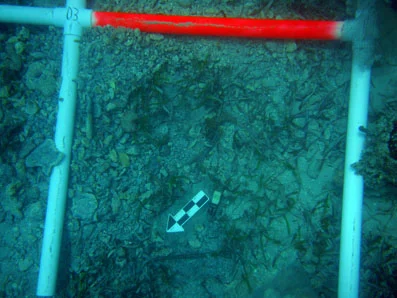 A bronze clench bolt found just below the surface in survey square D3.