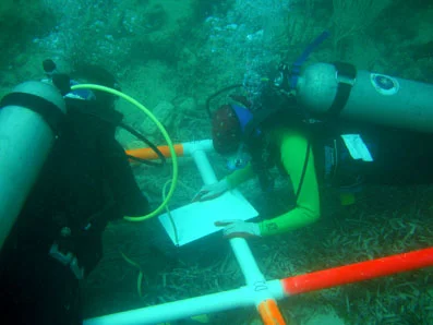 Ruth and Wesley hard at work measuring the planking.