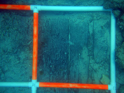  Survey square D0 after hand fanning showing the hull planking. 