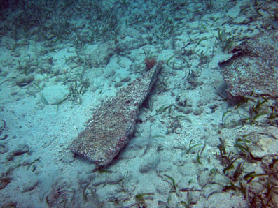  A piece of lead sheeting, with coral growth found on the wreck site.  