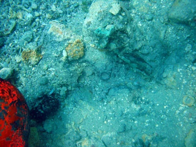  Can you spot the bronze clench bolt head which has partially been uncovered?