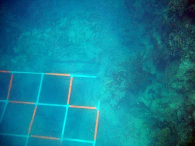 The ballast pile of bricks can be seen above the grid. This is the amidships position of the wreck.