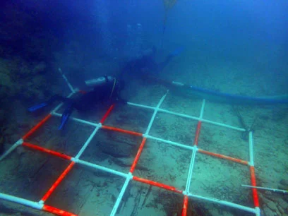Slowly the gridsurvey area is uncovered revealing the lower hull timbers.