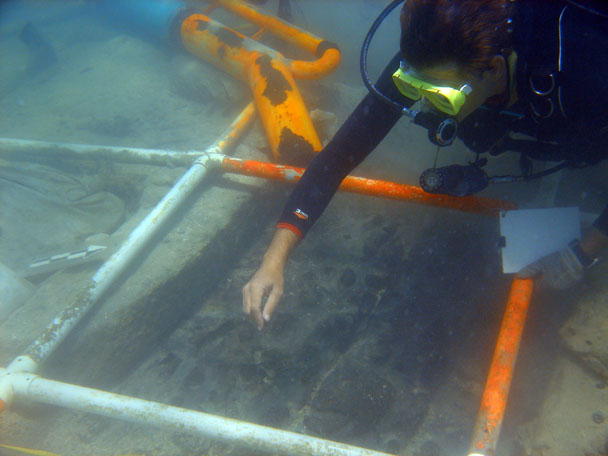  Dr. Spooner hand fanning the timbers on The Tile Wreck 