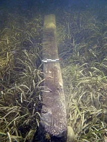  One of the two timber skid beams found in the centre section of The Tile Wreck 