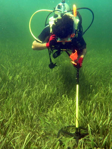 Student training on the Aquapulse metal detector on The Tile Wreck site