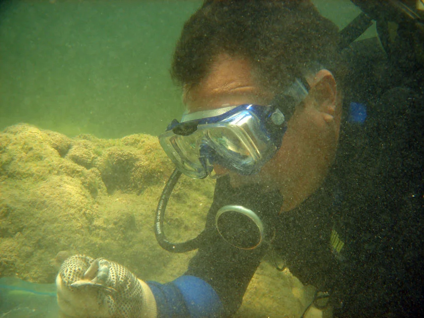  John finding a handle from a French faienceware mug, on   The Tile Wreck   2008 