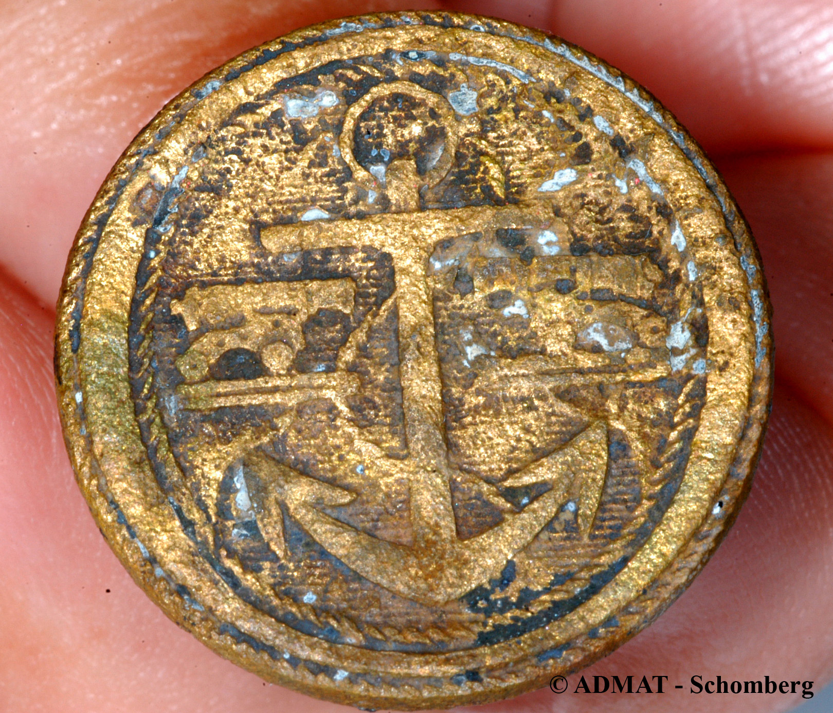  One of two gilt covered copper alloy English gunnery officers buttons found in the hold of the wreck 