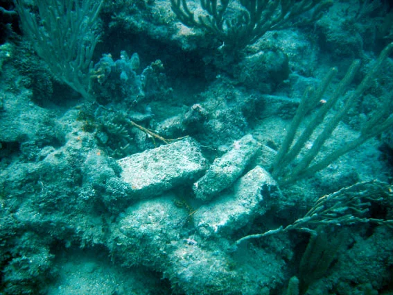 Some of the bricks half way up the reef... follow the bread crumbs of the wrecking process