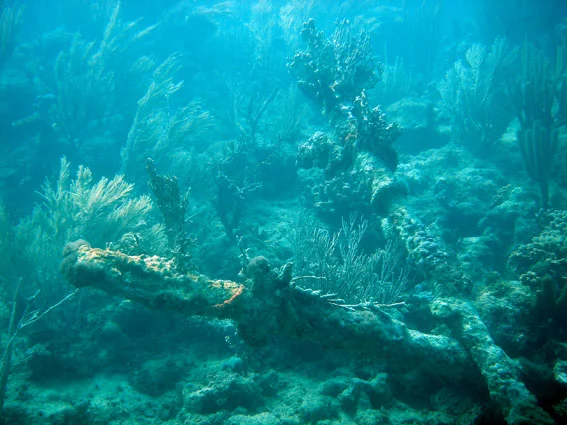 Two of three metal bars which were on the wreck site, of unknown purpose