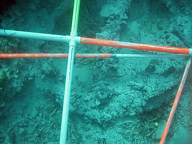  The spare anchor which was in the bosun's store before it was looted. During the wrecking process they did not have time to deploy it 