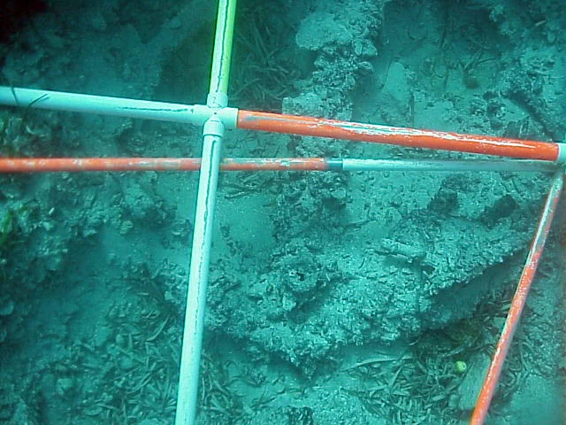 The spare anchor which was in the bosun's store before it was looted. During the wrecking process they did not have time to deploy it