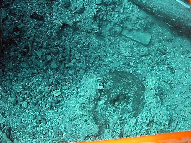 The top of the dead eye before it was fully uncovered