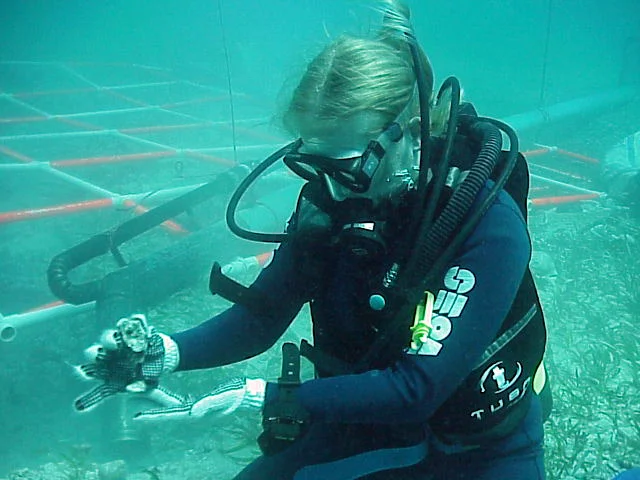 ADMAt's Co-creator and maritime archaeologist on site with a lead crystal French champain glass