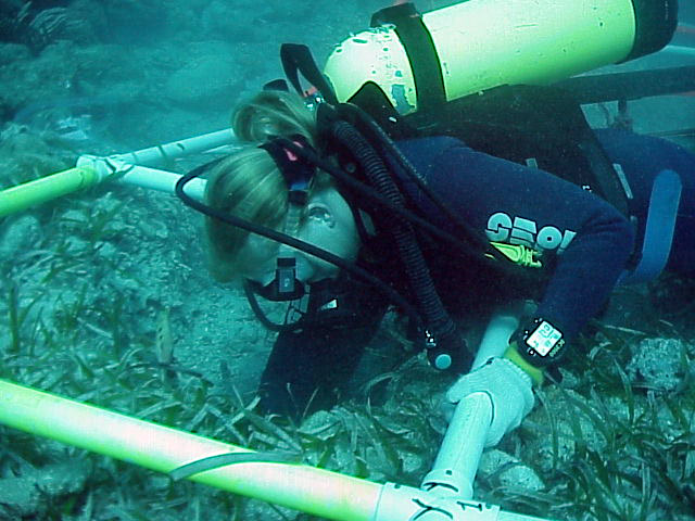  Maritime Archaeologist Christine Nielsen working in SQ Y0  