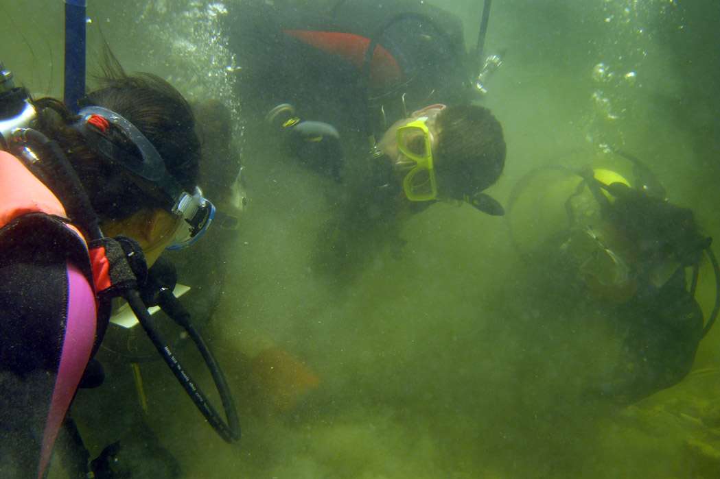  Dr. Chow (left)&nbsp;and Dr. Spooner (centre) training students on   The Tile Wreck   