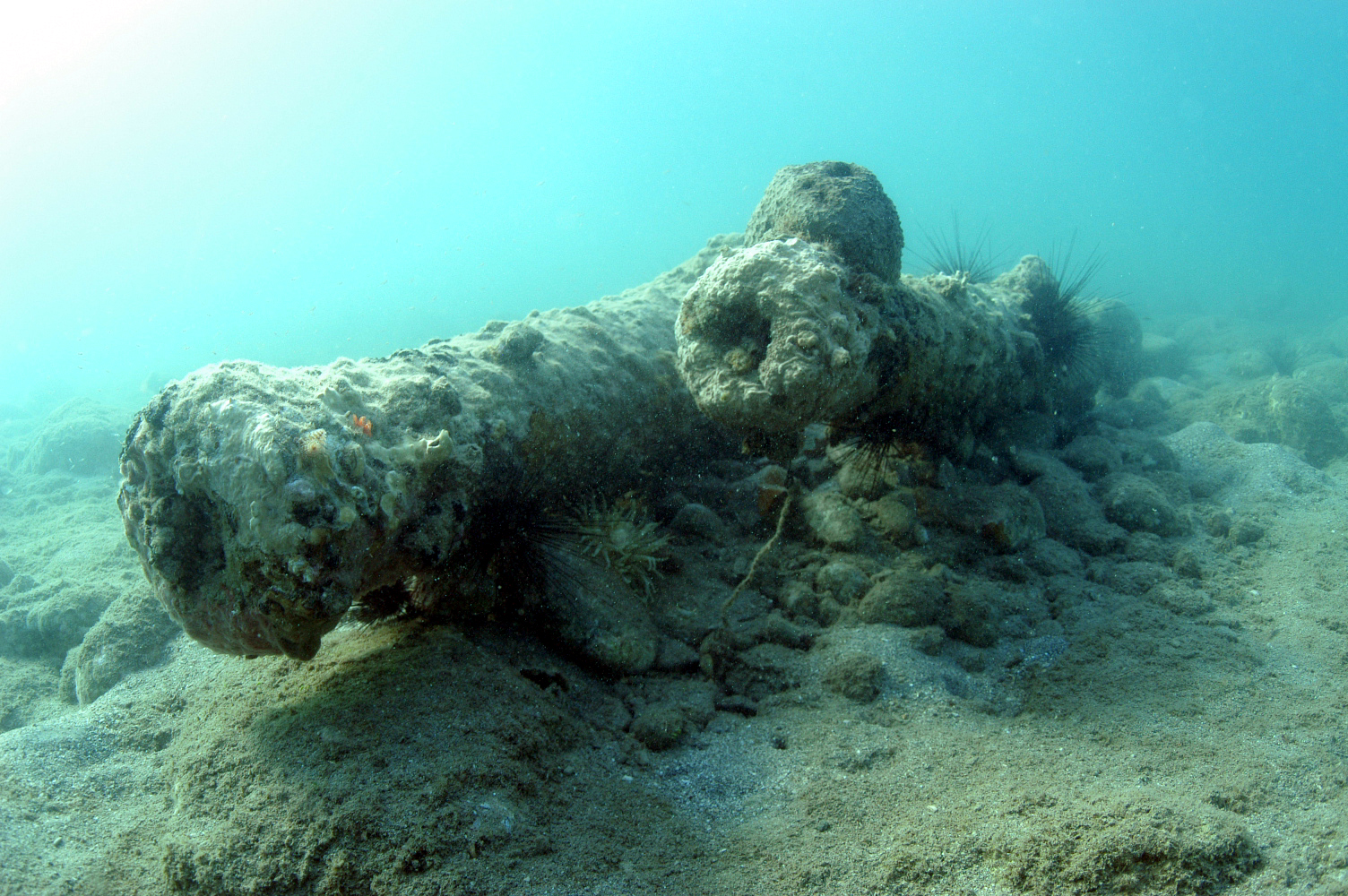  Help Protect Our Underwater Cultural Heritage   Take Part Now!    Join our Projects      White House Bay Wreck - Battle of Frigate Bay 1782,&nbsp; St. Kitts. Surveyed 2003. 