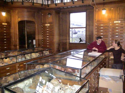 The room dedicated to the paleoanthropology collection with skeletons in the wall draws. La salle des collections de paléoanthropologie conservant des moules des crânes et des squelettes dans les tiroirs muraux.