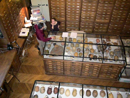 Dr Gendron talking with Dr Amelie Vialet, specialist in paleoanthropology, in the collection at the IPH. Dr Gendron discutant avec Amélie Vialet, paléoanthropologue, dans les collections des paléoanthropologie de l’IPH.