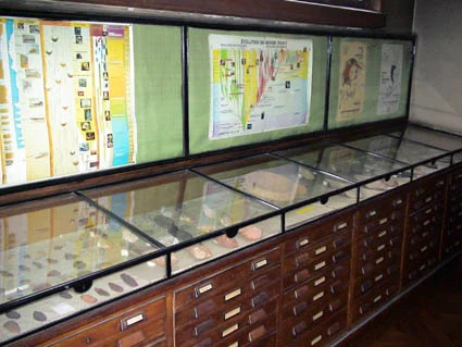 One of the many prehistoric collections conserved at IPH. Une des nombreuses collections de Préhistoire conservées à l’IPH.